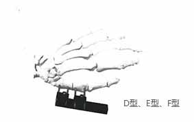 HM-10900掌骨、指骨系列